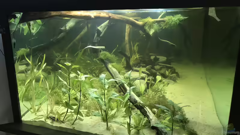 Seitenansicht von Hannes Klotz (2)