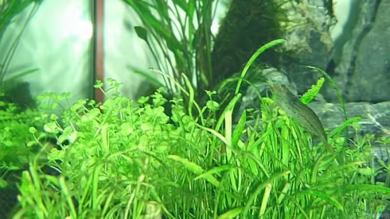 Seitenansicht von Jonas Stephan (4)