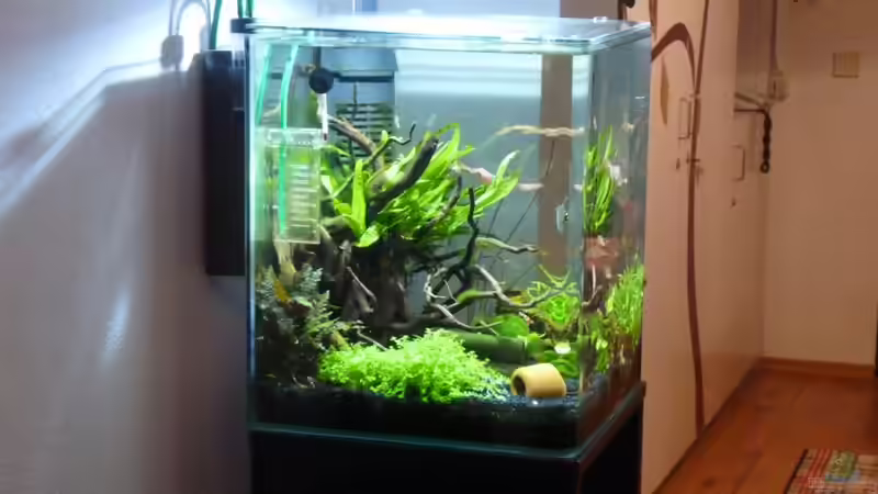 Seitenansicht von Josef Braun (4)