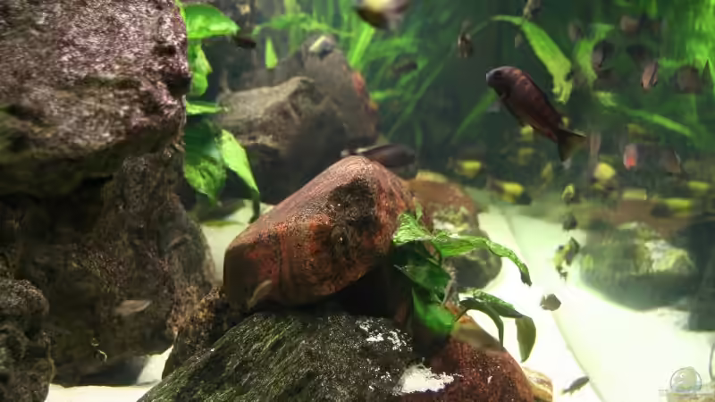 Seitenansicht von Katrin Rätz (4)