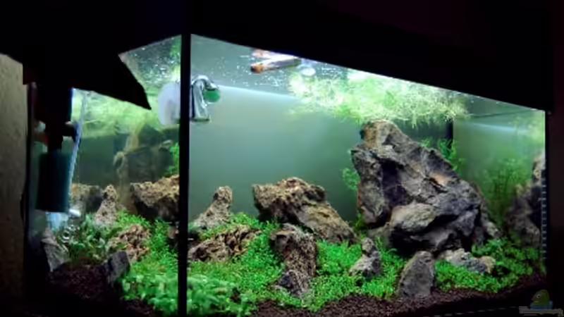 Seitenansicht von Kuro-Schio (3)