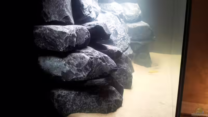 Seitenansicht von Labson (2)