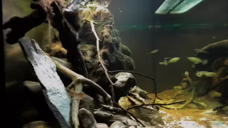 Seitenansicht von links 13.09.2010 von Benjamin Hamann (8)