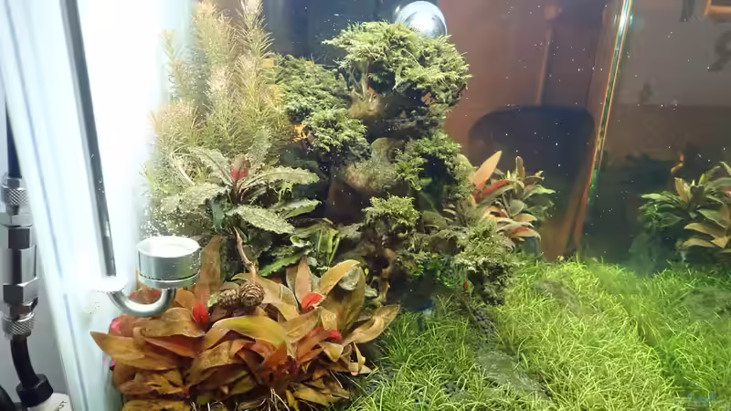 Seitenansicht von links von Mark D.C. (11)