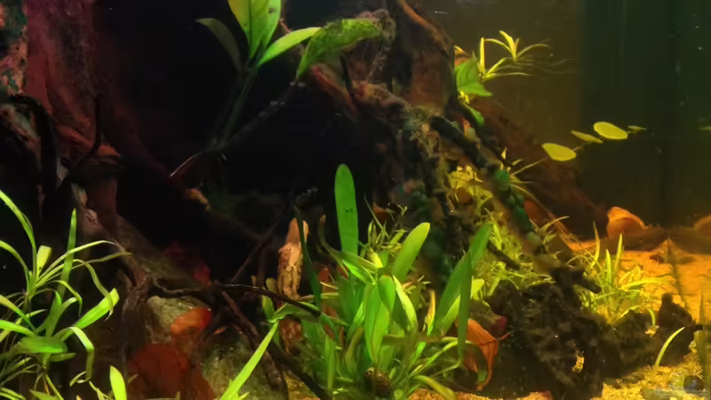 Seitenansicht von lützkopf (11)