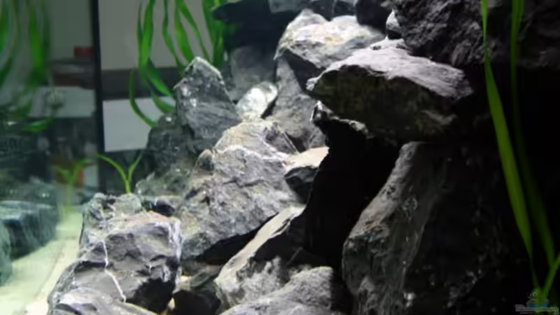 Seitenansicht von Manfred B. (3)