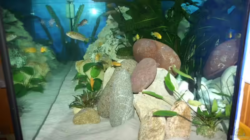 Seitenansicht von Margit König (7)