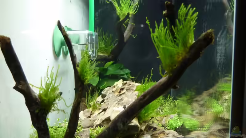 Seitenansicht von Martin W. (7)