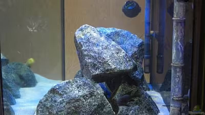 Seitenansicht von Matoba (6)