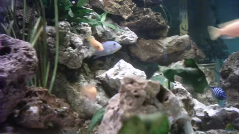 Seitenansicht von Matthias Schott (2)