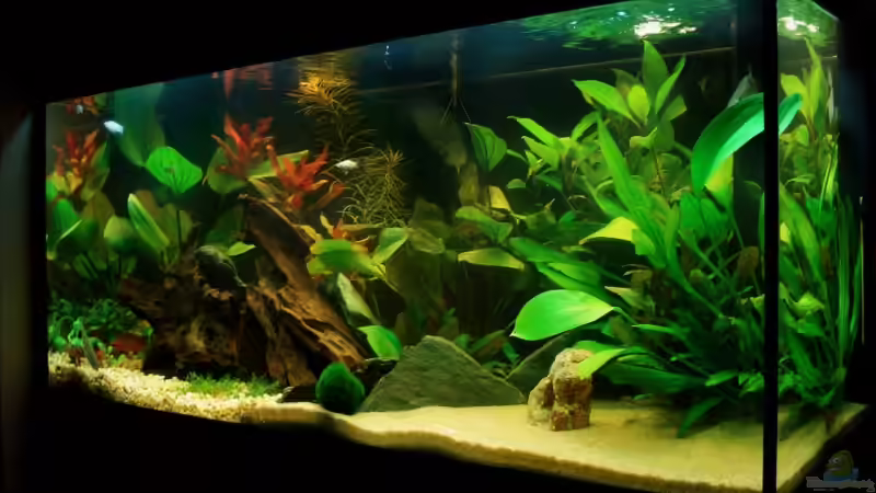 Seitenansicht von Meike J. (7)