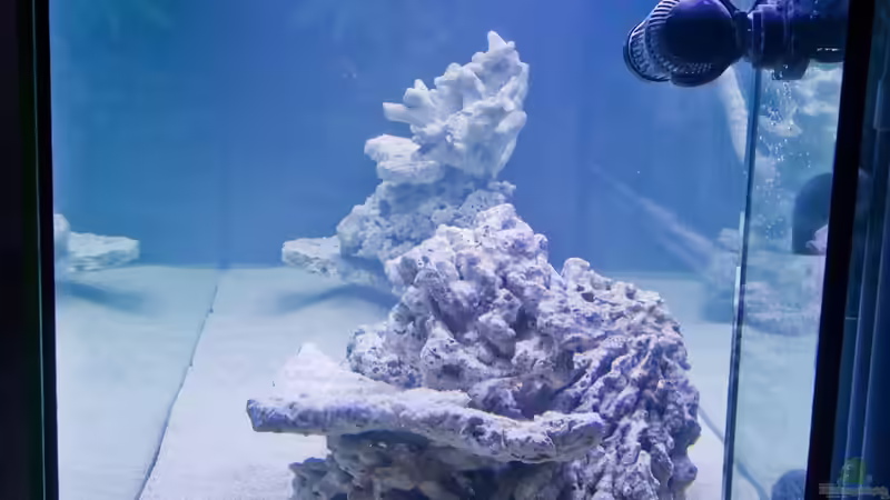 Seitenansicht von MH (6)