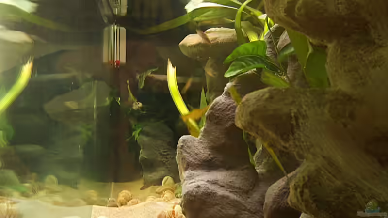 Seitenansicht von Miriam (5)