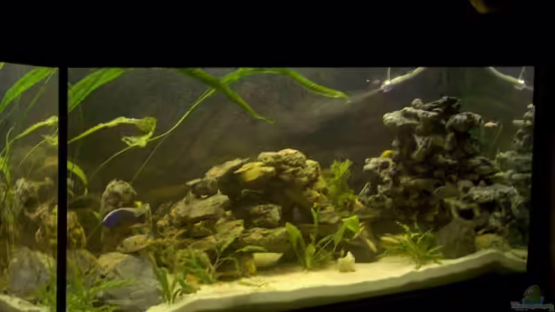 Seitenansicht von Monika Thiele (2)