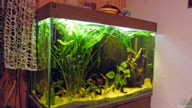 Seitenansicht von Monika Thiele (2)