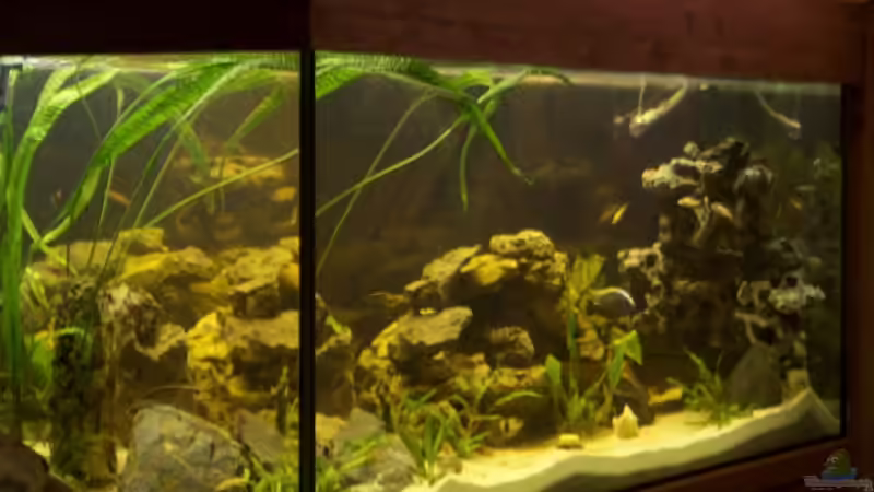 Seitenansicht von Monika Thiele (21)