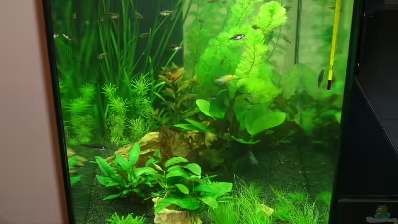 Seitenansicht von Nils Blümle (4)