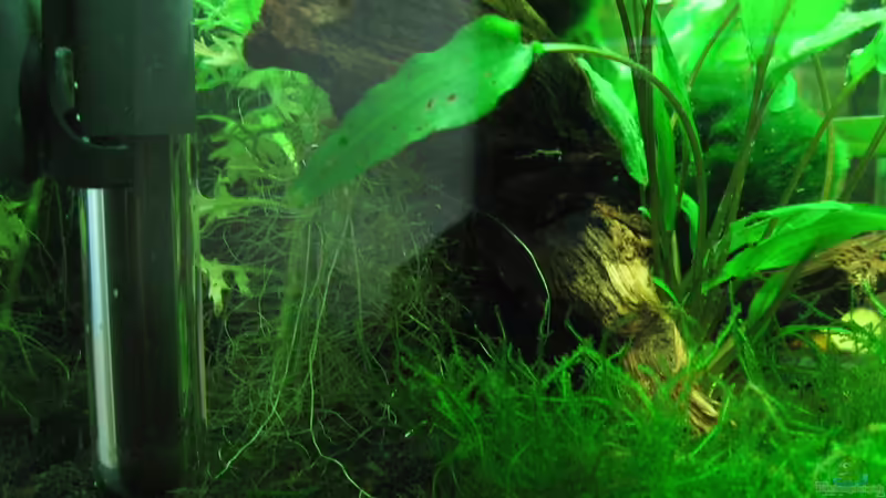 Seitenansicht von Patrick Schuler (9)