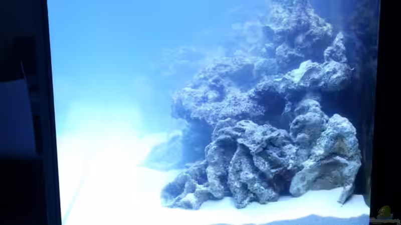 Seitenansicht von rechts ! von urbi (60)