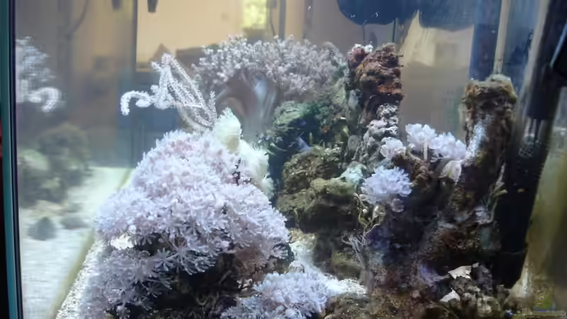 Seitenansicht von rechts von Jane Vogeler (18)