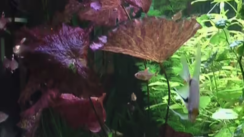 Seitenansicht von rechts von Marcus Heiser (6)