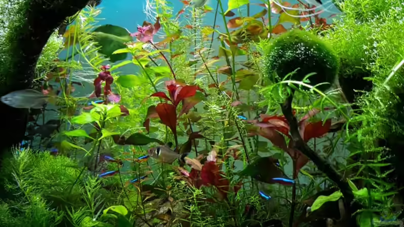 Seitenansicht von Sebastian Hartmann (29)