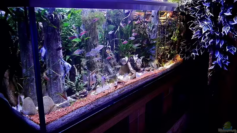 Seitenansicht von snooze (2)