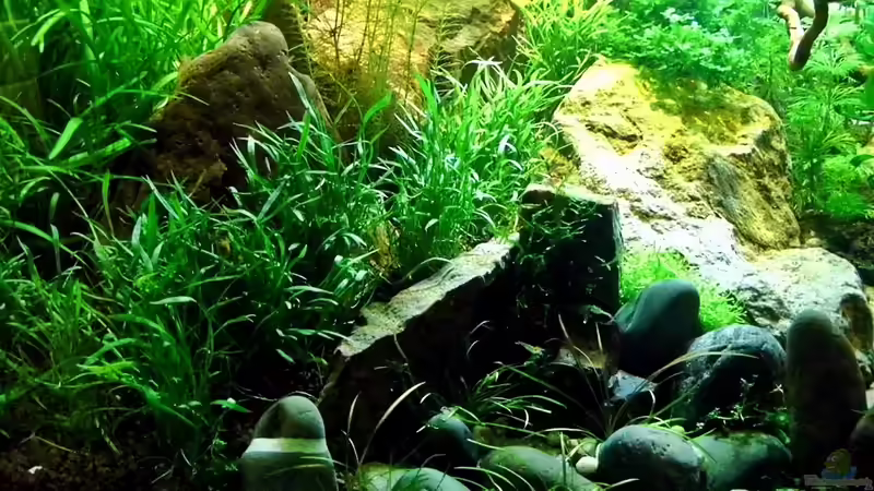 Seitenansicht von snooze (41)