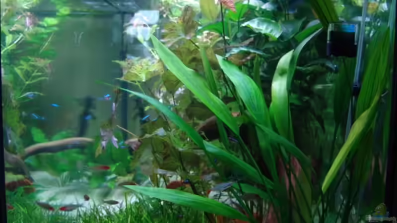 Seitenansicht von Stefan S. (2)