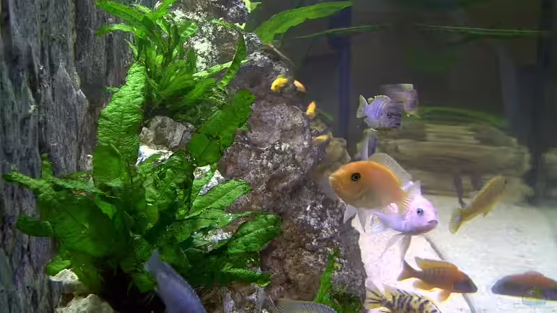 Seitenansicht von Steffen Böhm (3)