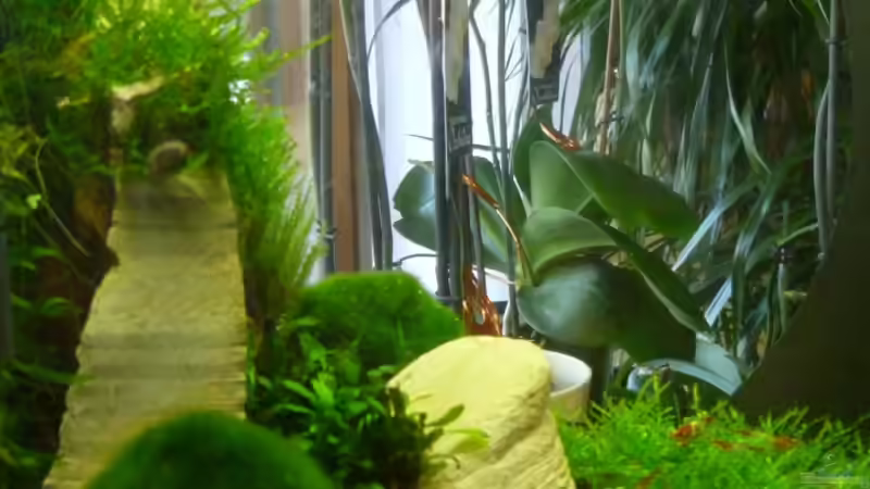 Seitenansicht von tanja4 (11)