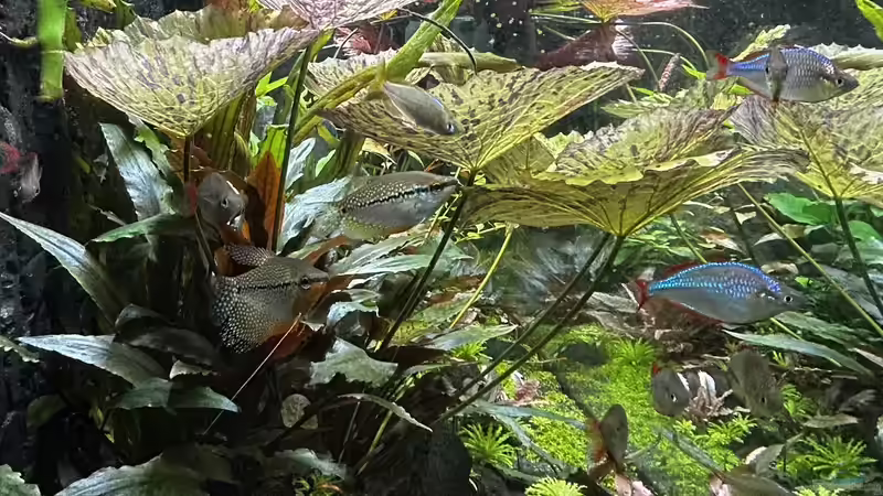 Seitenansicht von Thilo (9)