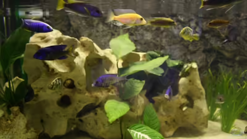 Seitenansicht von Thomas Szöts (4)