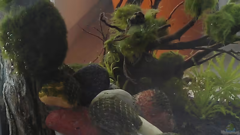 Seitenansicht von TinaMarie (9)