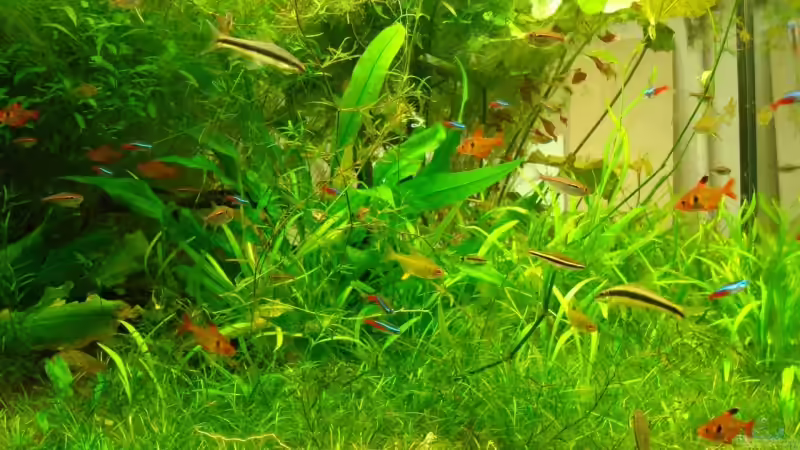 Seitenansicht von Udo März (4)