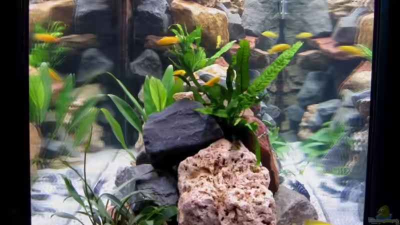 Seitenansicht von Udo´s - Malawi Raumteiler (3)