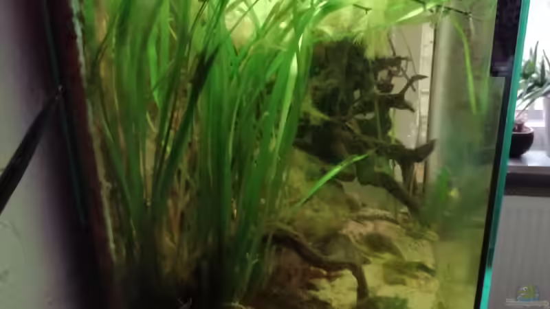 Seitenansicht vor Umbau 07.02.2019 von - Stephen - (3)