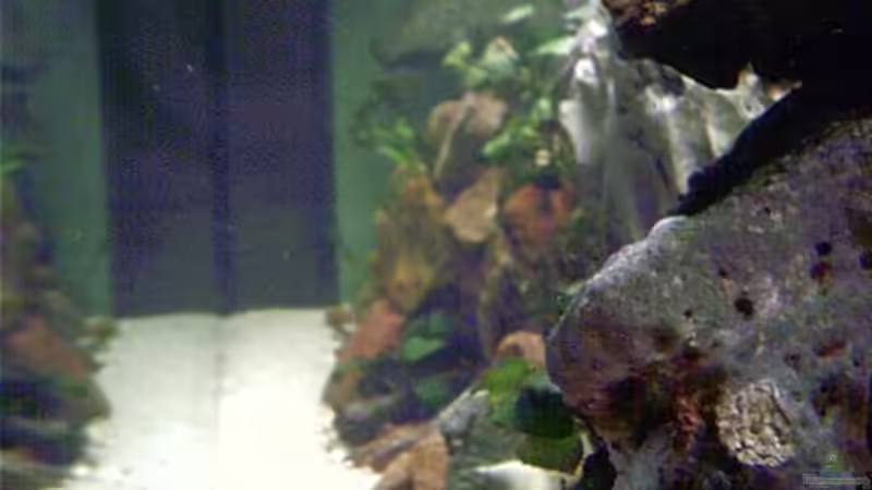 Seitenansicht vorne von Markus Parthe (4)