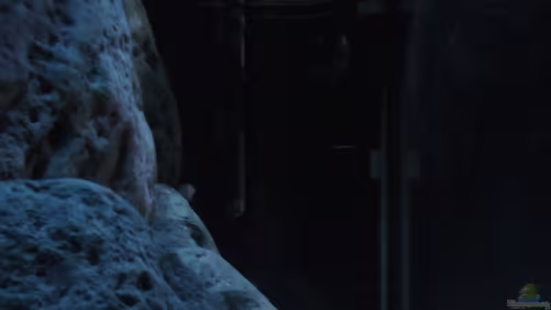 Seiteneinblick durch ´Guckklappe´ von MichaB (5)