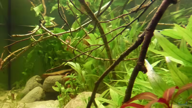 Seiteneinblick rechts von Leon St (1)