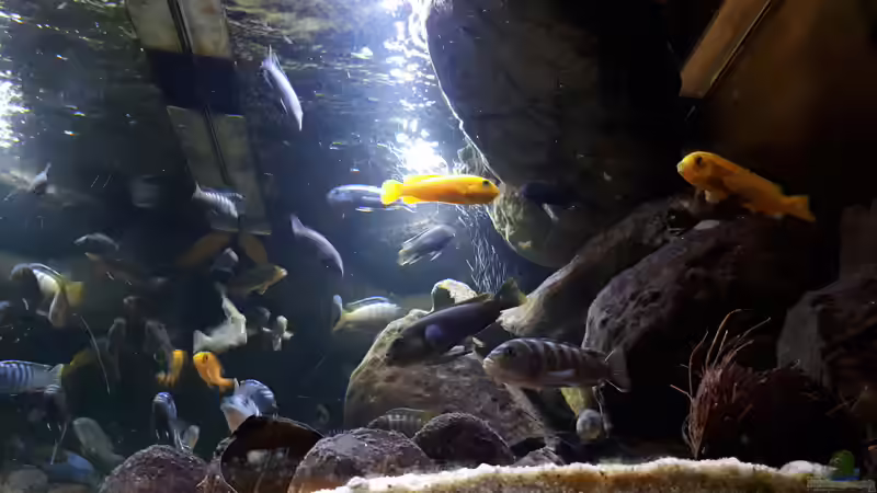 Seiteneinblick von Miketsch (2)