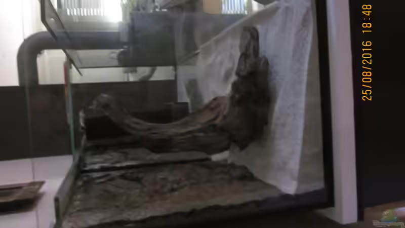 Seiteneinsicht vor der Befüllung von Ottche (8)