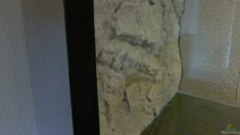 Seitenklebung Schritt 2 von Sambia (7)