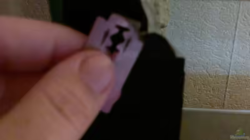 Seitenklebung Schritt 4 von Sambia (8)