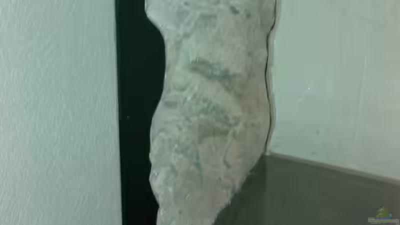 Seitenklebung Schritt 5 von Sambia (9)