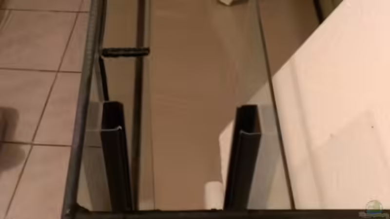 Seitenscheibe mit Silikon geschwärzt. von raubsau (13)