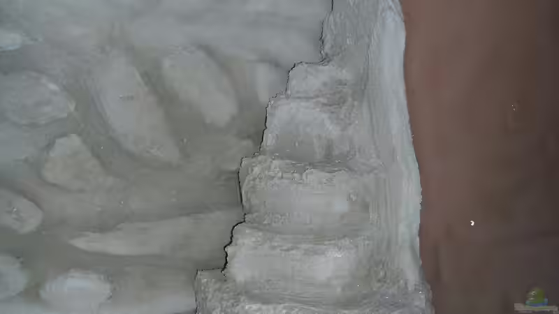 Seitenwand Rechts von rolli174 (4)