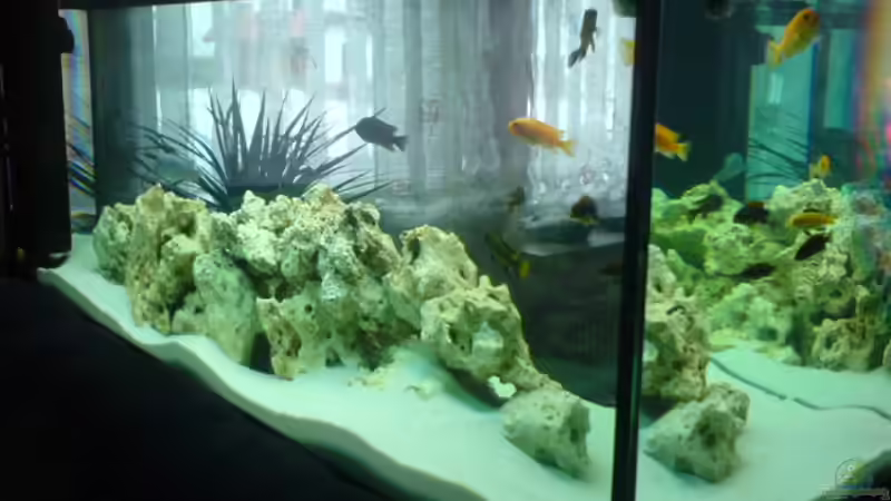 Seitenwinkel von DoctorSatan (2)