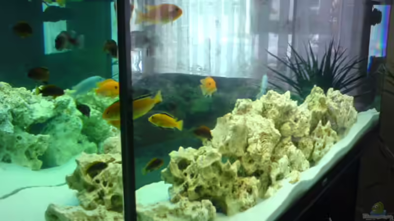 Seitenwinkel von DoctorSatan (4)