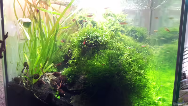 seitlich links von Martin Lange (12)